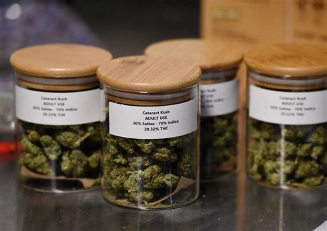 Cannabis for sale - Carlos Moreno. /. KCUR 89.3. Recreational marijuana will be available as early as Feb. 6, 2023. Above, an employee at Fresh Green Dispensary in Waldo, which currently sells medical cannabis ...